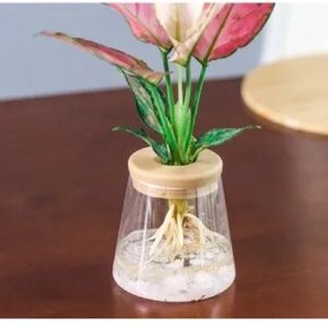 2 sets of Mini Hydroponic Flower/Plant Vase